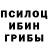 Псилоцибиновые грибы Psilocybe Azizbek Khalmirzaev