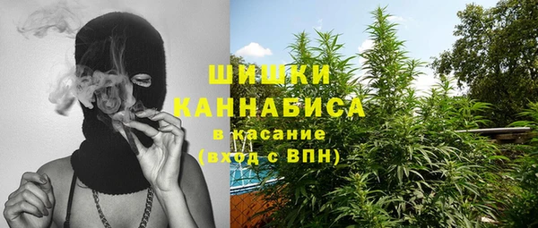 прущие грибы Белоозёрский