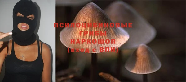 МДПВ Белокуриха