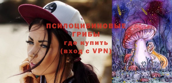МДПВ Белокуриха