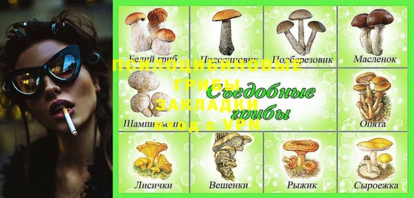 прущие грибы Белоозёрский