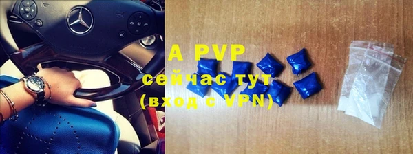 прущие грибы Белоозёрский