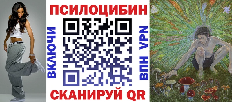 дарнет шоп  Курлово  Галлюциногенные грибы Cubensis 
